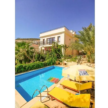 Violet * Kalkan